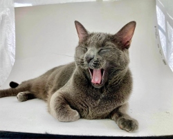 Fundraising Page Image